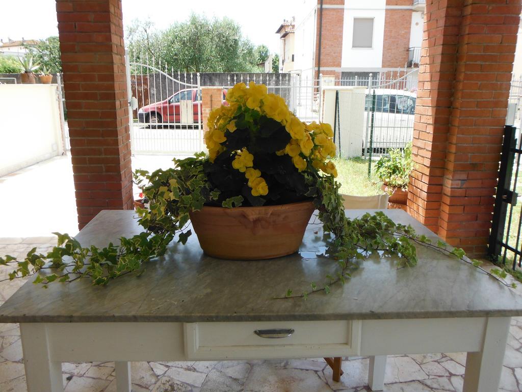 Apartamento La Casa Di Nila Pisa Exterior foto