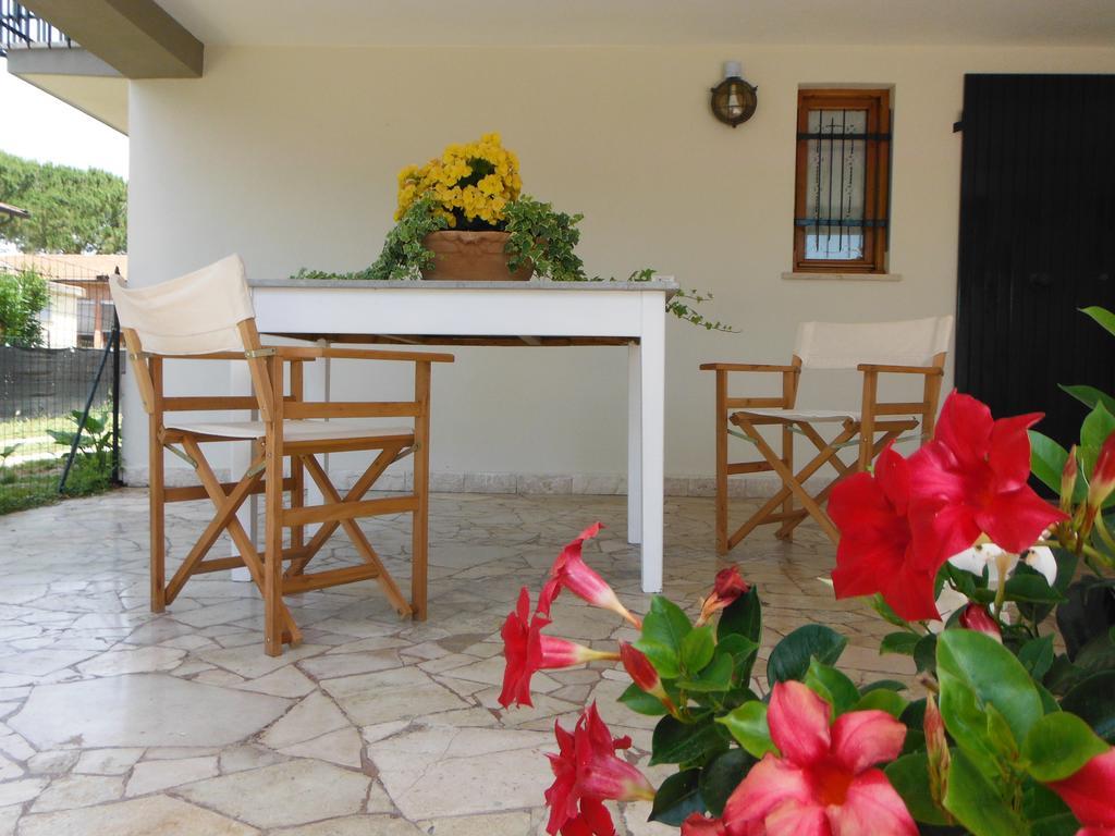 Apartamento La Casa Di Nila Pisa Exterior foto