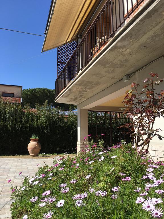 Apartamento La Casa Di Nila Pisa Exterior foto